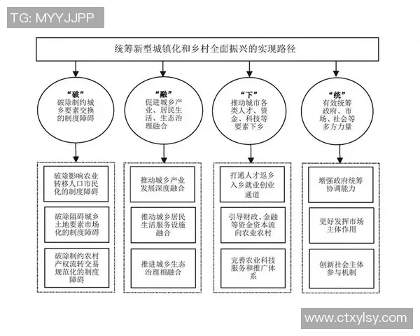 武汉篮球队实力解析：聚焦球队发展与未来挑战