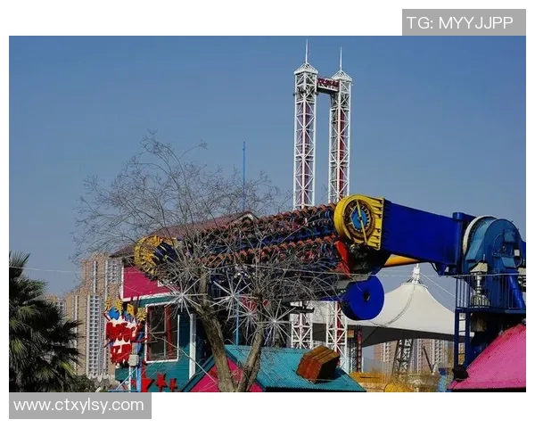 武汉乒乓球队的节奏与风采探秘：从训练到比赛的全景展现